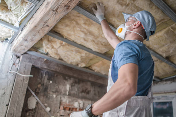 Best Insulation for Specific Applications in Meron Park, CA